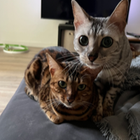 Profilbild für Alexandra L
