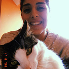 Profilbild für Javiera N