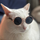 Avatar for Constance T