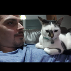 Profilbild für Victor O