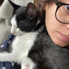 Profilbild für Renate S