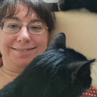 Profilbild für Ilke I