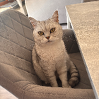 Profilbild für Selina E