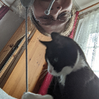 Profilbild für Claudia P