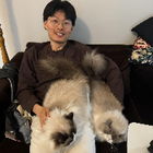 Profilbild für weixing w