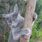 Profilbild für kanza E