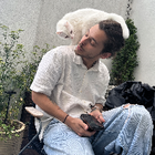 Profilbild für Guillermo R