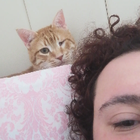 Profilbild für Onur B