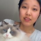 Profilbild für Wenying X