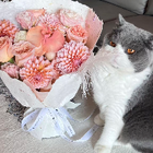 Avatar for Evelina W