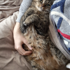 Profilbild für Maximilian S