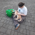 Profilbild für Carmen M