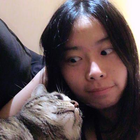Avatar pour Qiting W