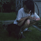 Profilbild für Yan C