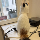 Avatar pour Taghrid (Tag) A