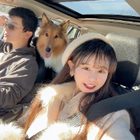 Profilbild für Ziqi X