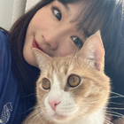 Avatar for YI L