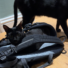 Avatar for Rajveer S