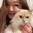 Profielfoto voor Yiren T