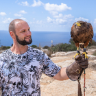 Profilbild für Wolfgang B