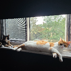 Avatar for Jessica V