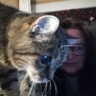 Profilbild für Isabella S