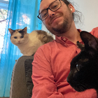 Profilbild für Daniel R