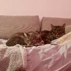 Avatar pour Sebastien L