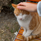 Profielfoto voor Lucy B