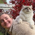 Profilbild für Katja G