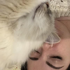 Profilbild für Debora O