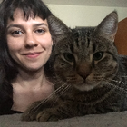 Profilbild für Deniz I