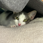 Profilbild für Lisa H