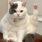 Avatar for Kejia (Wendy) M