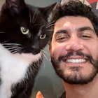 Avatar for Mahmoud A