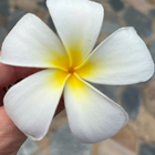 Profielfoto voor Josephine v