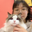 Avatar for Pei K