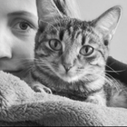 Profilbild für Sara B