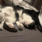 Profilbild für Jenni H