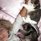 Profilbild für Antonia A
