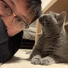 Profilbild für Haobin T