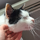 Avatar pour Alexia B