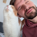 Profilbild für Andre N