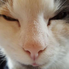 Avatar for Sam M
