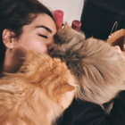 Profilbild für Afsaneh A
