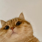 Profilbild für Guangyu H