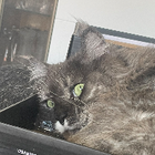 Profilbild für Nicita R