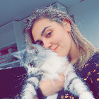 Avatar pour Amber V