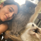 Profilbild für Mahour A