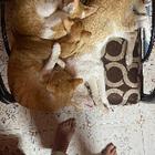 Profielfoto voor Marina A